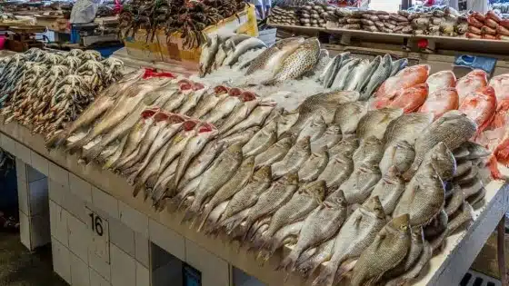 أسعار الأسماك اليوم في سوق العبور