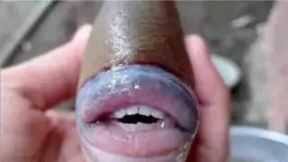 صياد ماليزي يعثر على سمكة بملامح بشرية